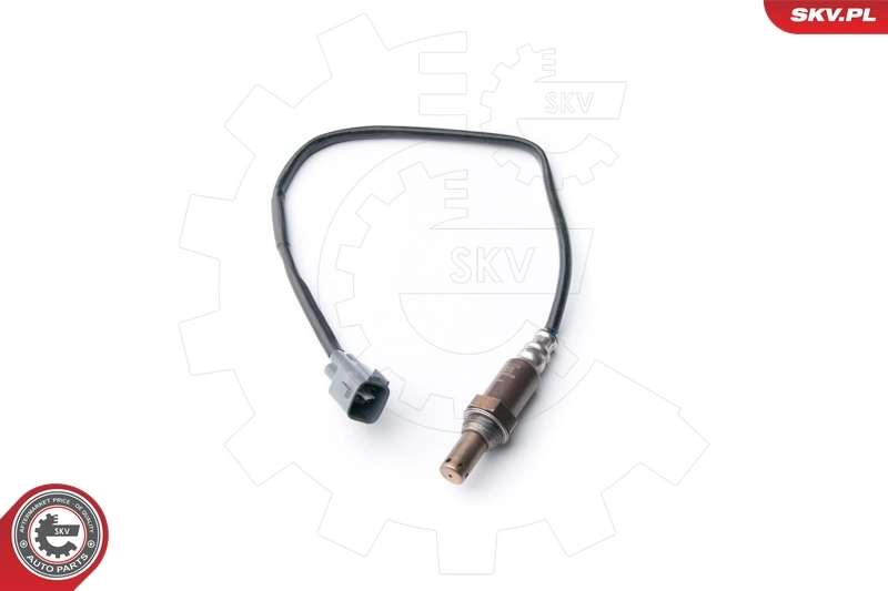 Oxygen Sensor
